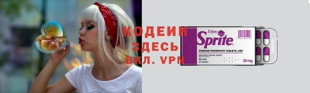 тгк Арсеньев