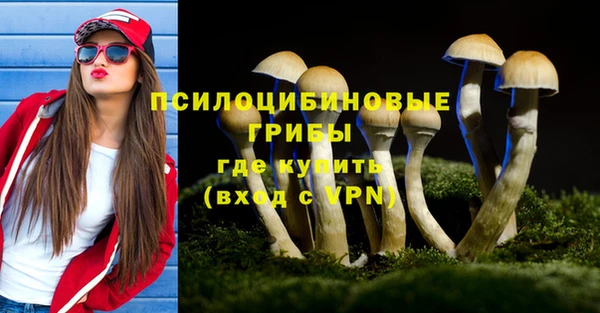 ГАЛЛЮЦИНОГЕННЫЕ ГРИБЫ Балахна