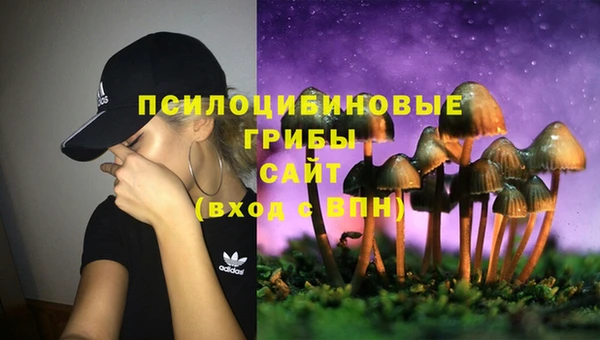 ГАЛЛЮЦИНОГЕННЫЕ ГРИБЫ Балахна