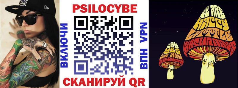 площадка формула  Советск  Псилоцибиновые грибы мицелий 